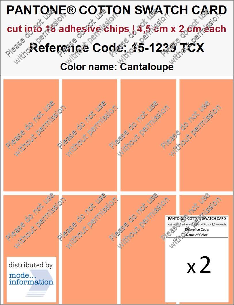 PANTONE COTTON SWATCH CARD 15-1239 TCX Cantaloupe (cut into 16 adhesive chips | 4,5 cm x 2 cm)
