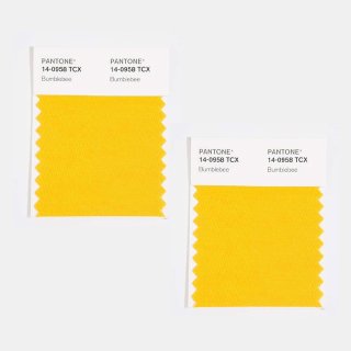 PANTONE ® COTTON SWATCH CARD
cut into 2 MINIS, double-layered
5 cm x 5 cm each...